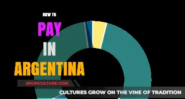 Navigating Payments in Argentina: A Comprehensive Guide