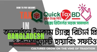 A Comprehensive Guide to Paying Income Tax in Bangladesh