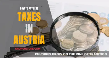 Maximize Your Savings: Smart Tax Strategies for Austria Residents