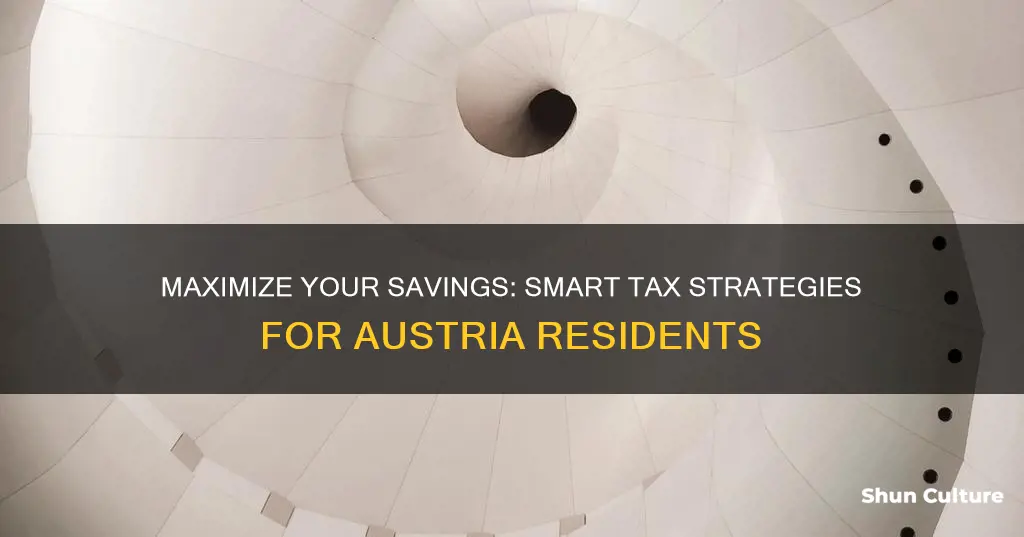 how to pay less taxes in austria