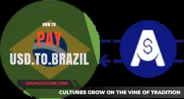 How to Safely Transfer USD to Brazil: A Step-by-Step Guide