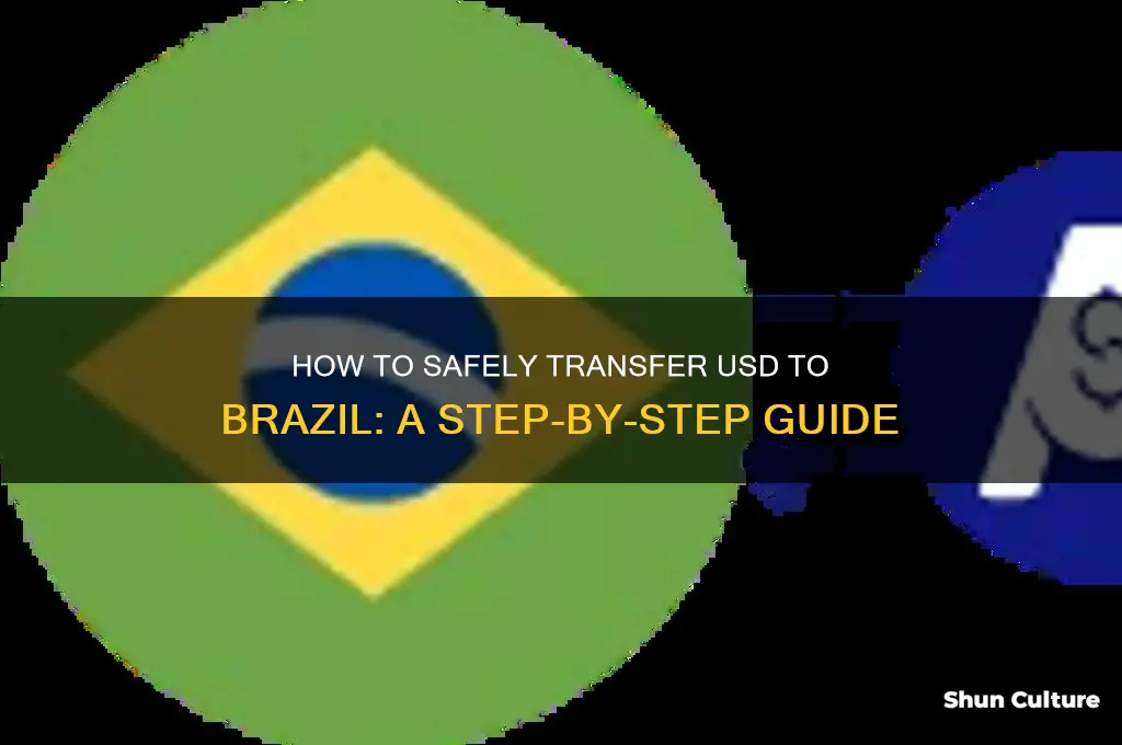 how to pay usd.to.brazil