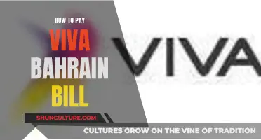 Easy Guide to Paying Your Viva Bahrain Bill