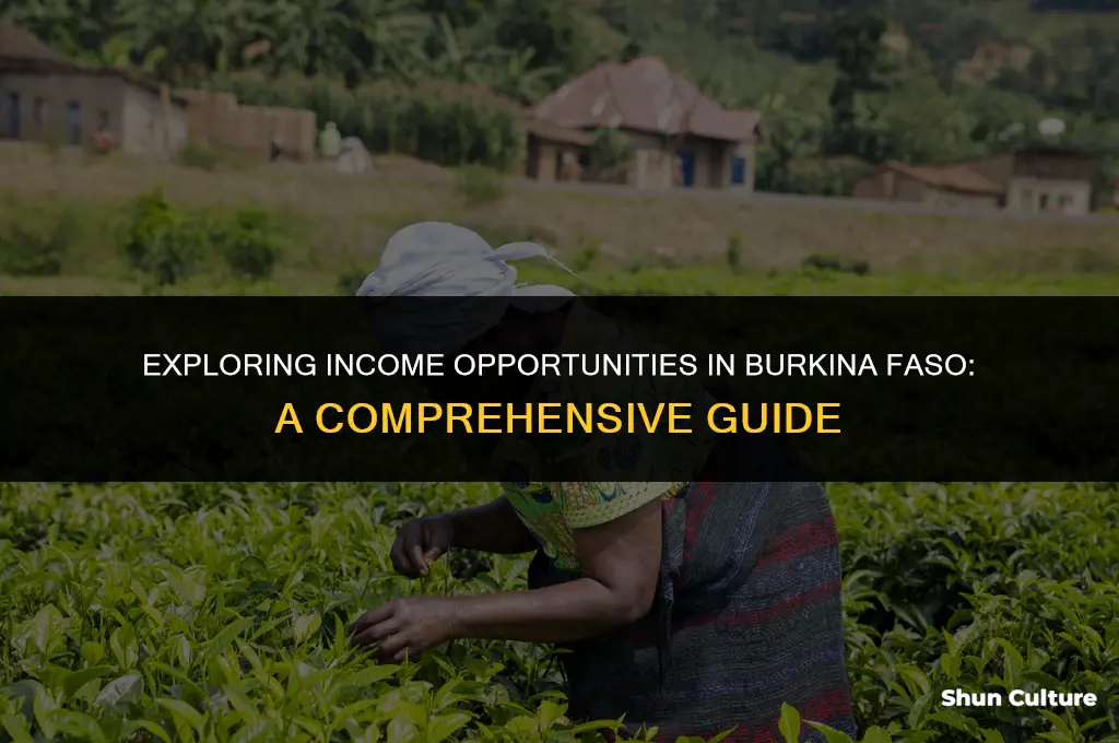 how to people make money in burkina faso