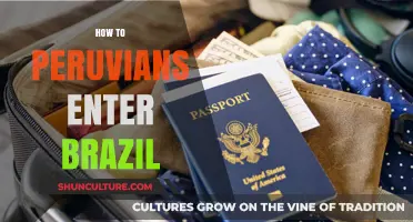 Peruvians Traveling to Brazil: Visa Requirements and Entry Tips