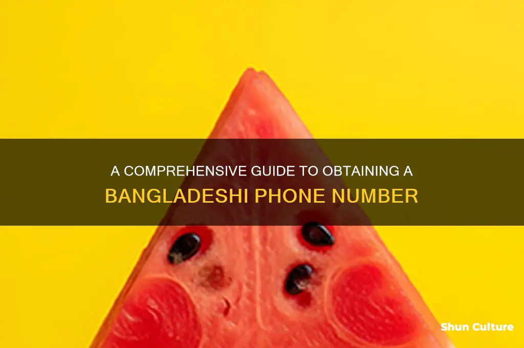 how to phone number in bangladesh