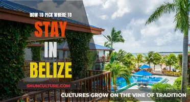 Belize's Best: Choosing Your Perfect Belizean Stay