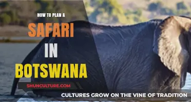 Ultimate Guide to Planning Your Dream Botswana Safari Adventure