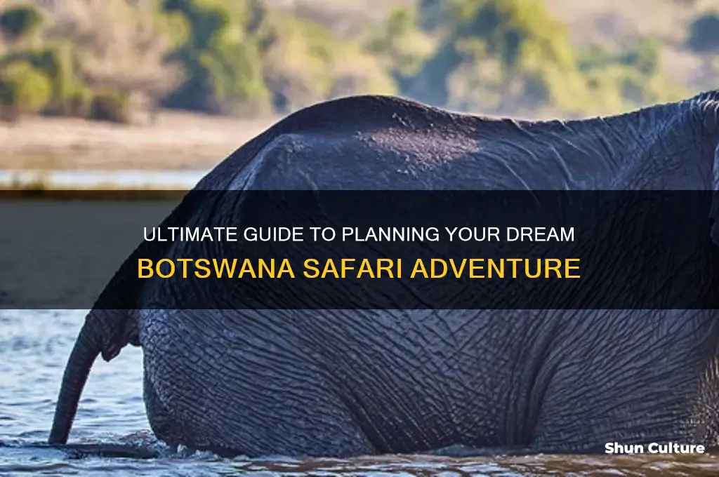 how to plan a safari in botswana