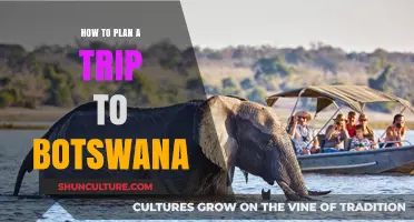 Ultimate Guide to Planning Your Dream Botswana Adventure Trip