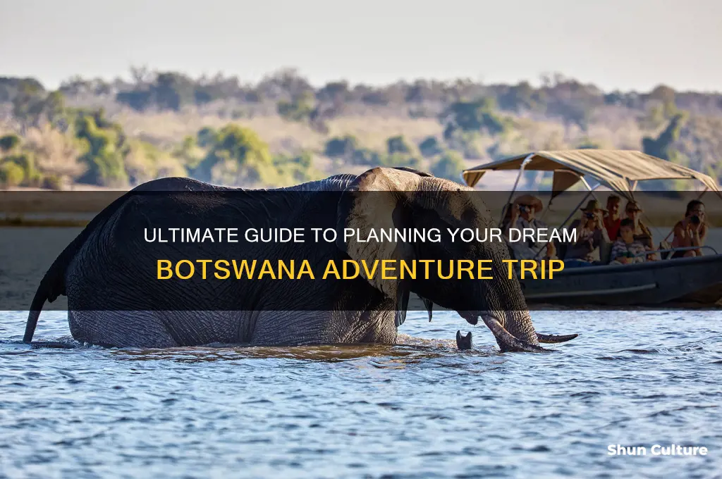 how to plan a trip to botswana