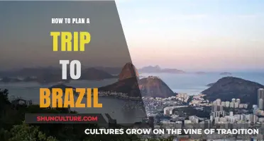 Essential Tips for Planning Your Dream Trip to Brazil