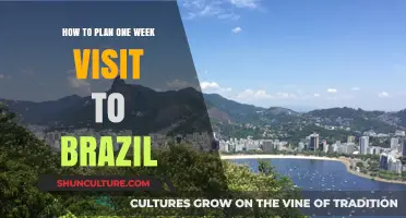 Ultimate Guide to Planning a Perfect One-Week Brazil Adventure