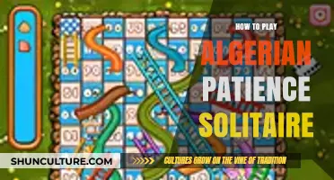 Mastering Algerian Patience Solitaire: A Step-by-Step Guide to Winning