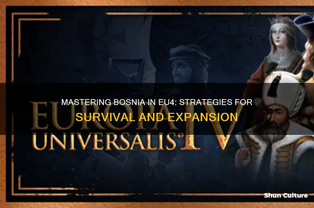 how to play as bosnia in eu4