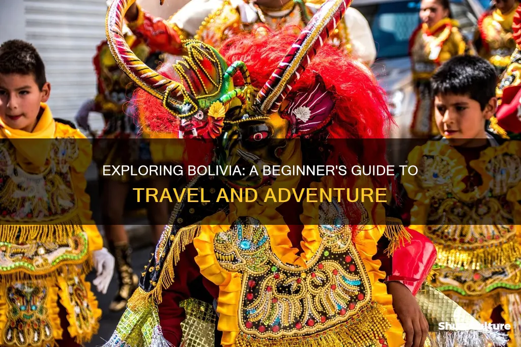 how to play bolivia