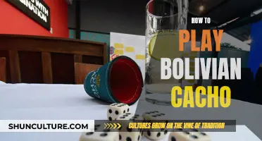 A Beginner's Guide to Playing Bolivian Cacho