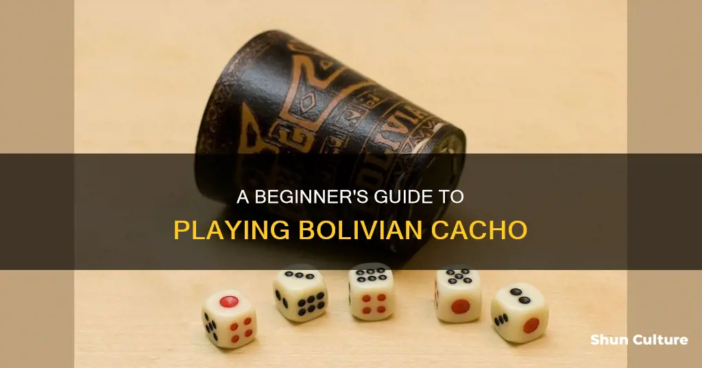 how to play bolivian cacho