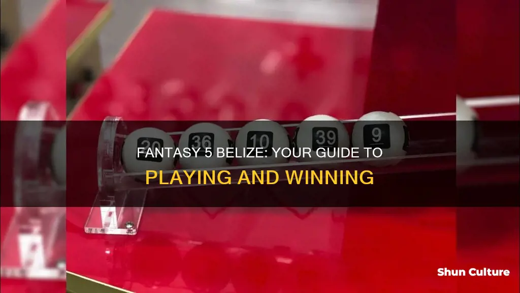 how to play fantasy 5 belize