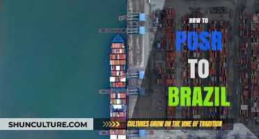 Mastering the Art of Shipping to Brazil: A Comprehensive Guide