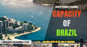 Predicting Brazil's Economic Capacity: Strategies, Indicators, and Future Outlook