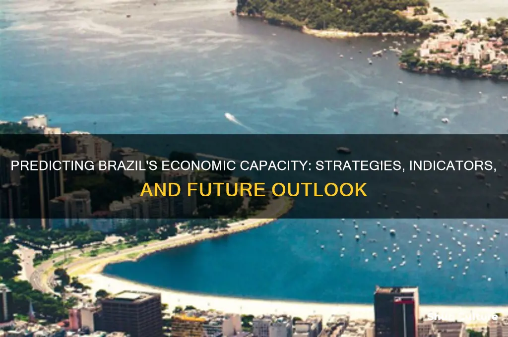 how to predict economic capacity of brazil