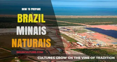 Mastering Brazil Minas Naturais: A Step-by-Step Preparation Guide