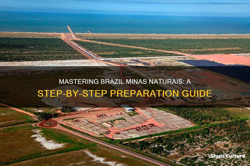 how to prepare brazil minais naturais