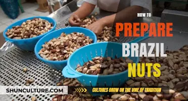 Mastering Brazil Nuts: Simple Steps for Perfect Preparation and Enjoyment