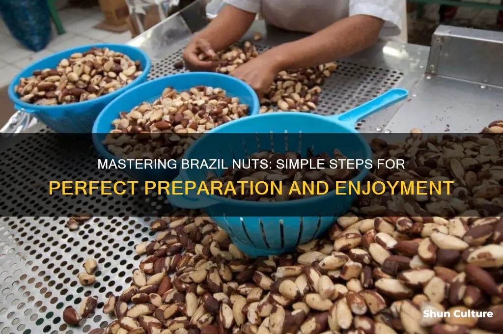 how to prepare brazil nuts