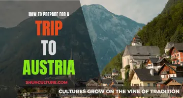 Uncover Austria's Charms: Your Ultimate Travel Preparation Guide