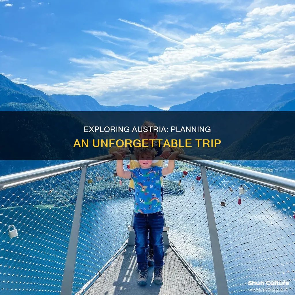 how to prepare for a trip to austria