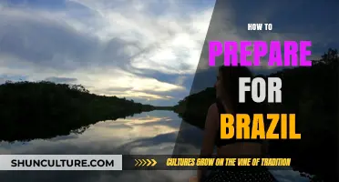 Essential Tips for a Smooth and Exciting Brazil Travel Preparation