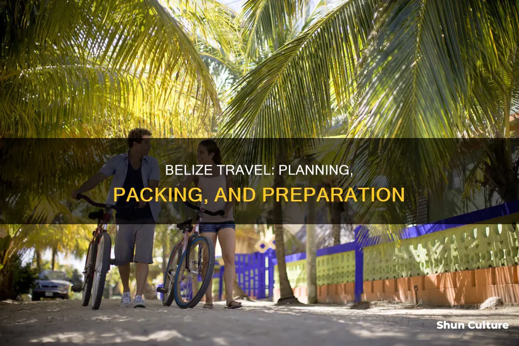 how to prepare for travel to belize