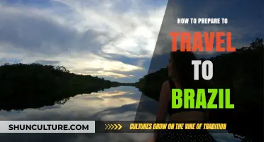 Essential Tips for Planning Your Perfect Brazilian Adventure