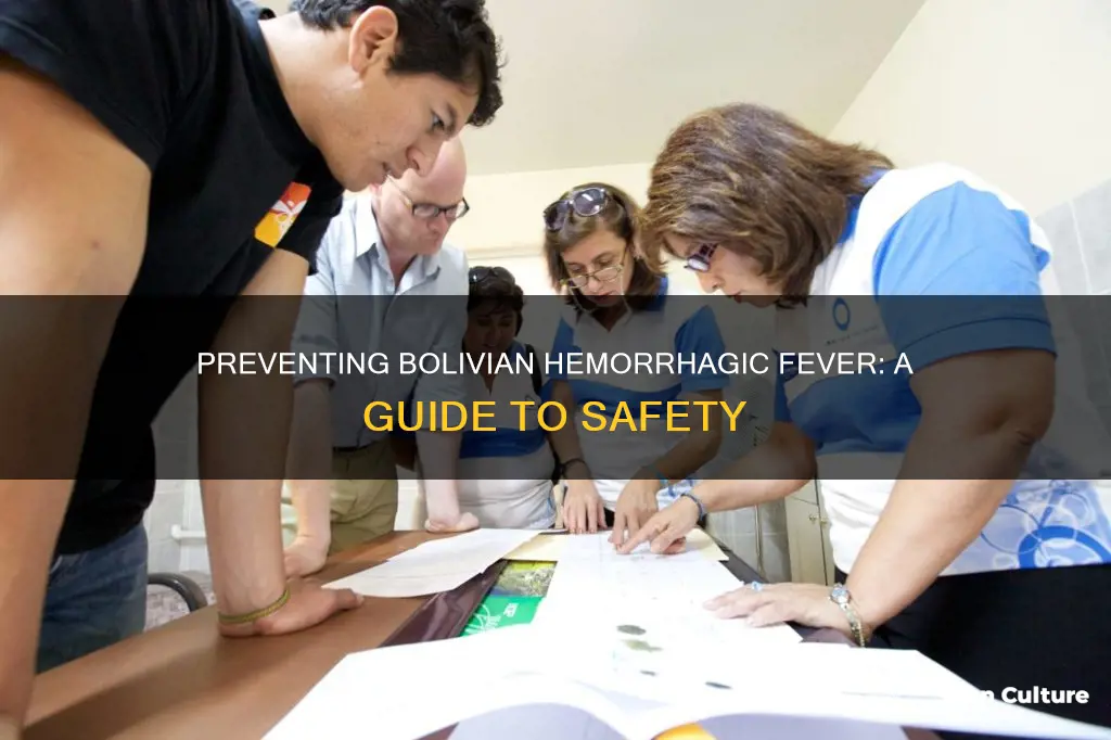 how to prevent bolivian hemorrhagic fever