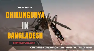 Effective Strategies to Prevent Chikungunya Outbreaks in Bangladesh