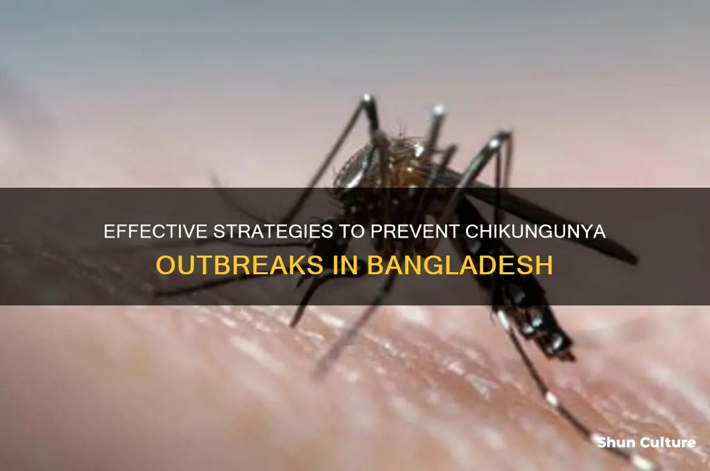 how to prevent chikungunya in bangladesh