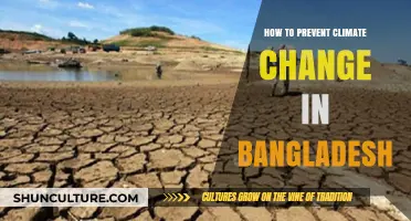 Combating Climate Change: Sustainable Solutions for Bangladesh's Future