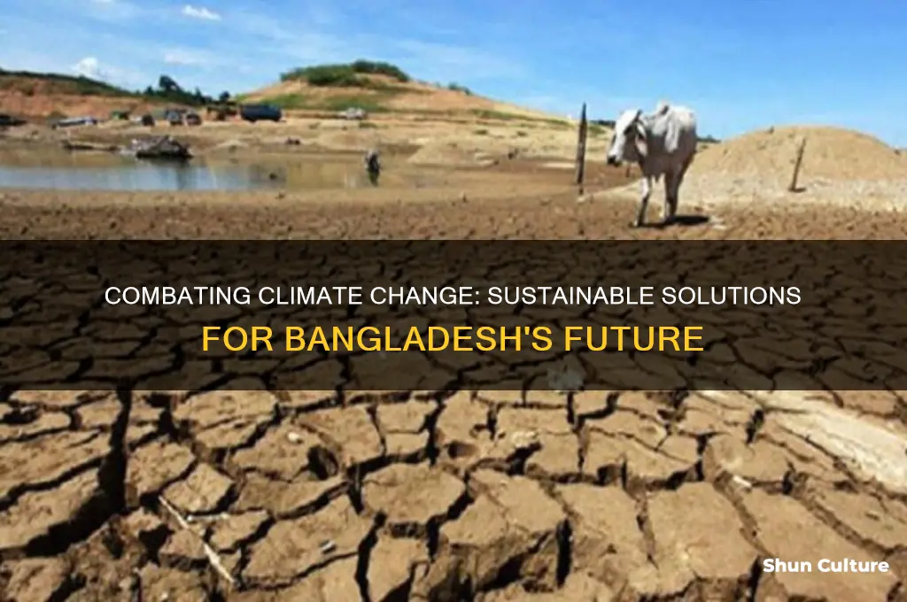 how to prevent climate change in bangladesh