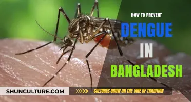 Effective Strategies to Prevent Dengue Outbreaks in Bangladesh