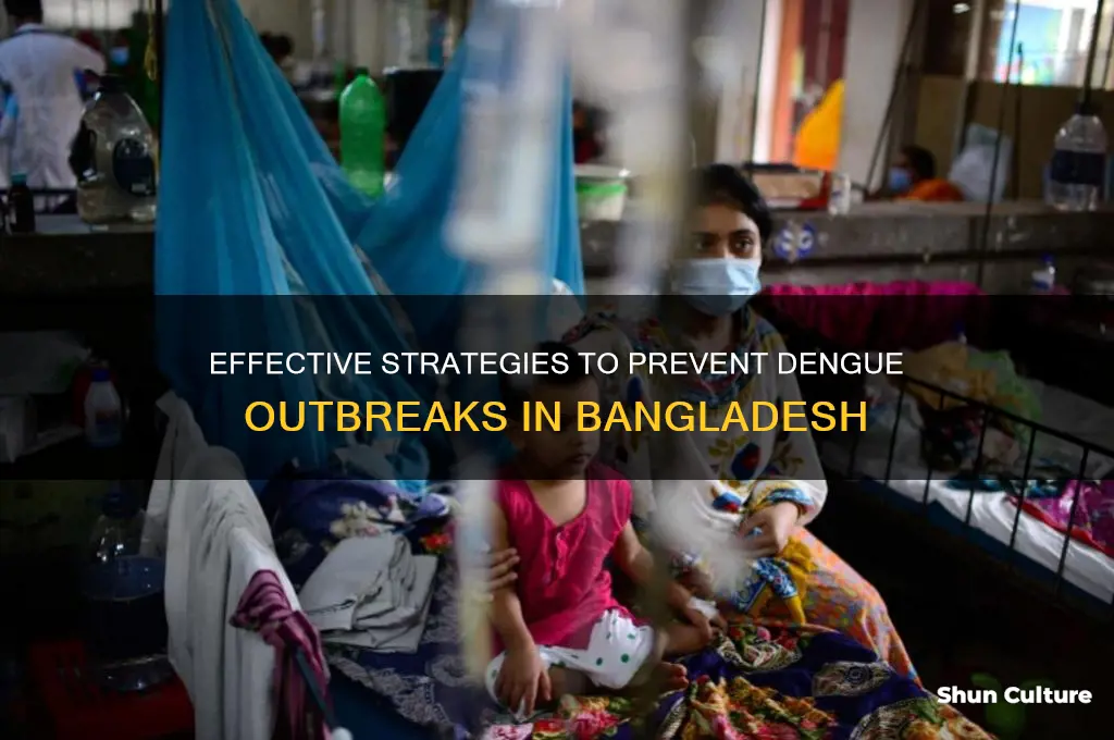 how to prevent dengue in bangladesh