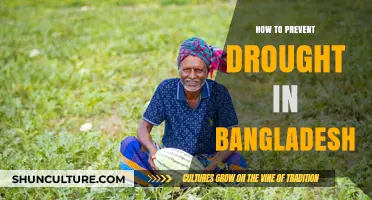 Combating Drought in Bangladesh: Sustainable Strategies for Water Security