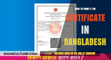 Print Your e-TIN Certificate in Bangladesh: A Step-by-Step Guide