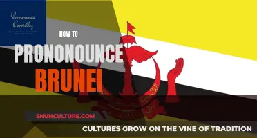 Mastering the Pronunciation of Brunei: A Guide to Getting it Right