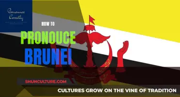 Mastering the Art of Pronouncing 'Brunei' Accurately