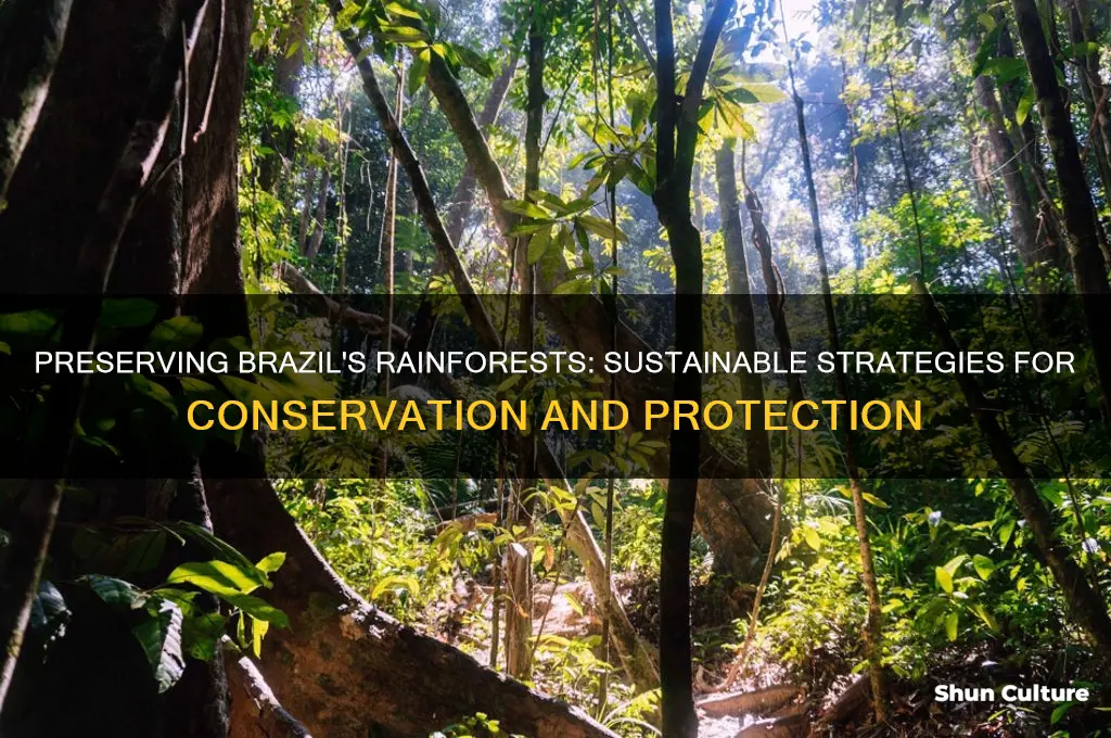 how to protect the rainforest in brazil