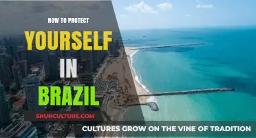Stay Safe in Brazil: Essential Tips for Personal Protection and Security