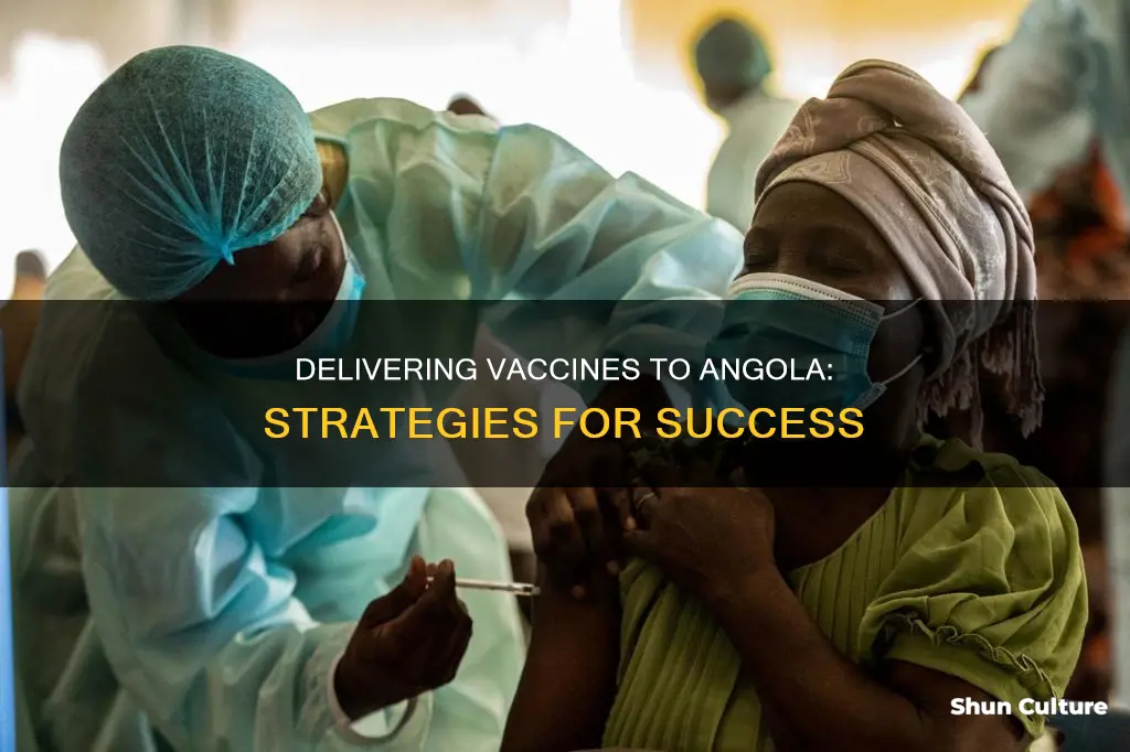 how to provide vaccinations to angola