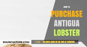 Ultimate Guide to Buying Fresh Antigua Lobster: Tips & Best Practices
